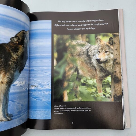 Spirit of the Wolf: Hardcover Book Coffee Table Decor Mythical Hunter of the Wil - Picture 9 of 16